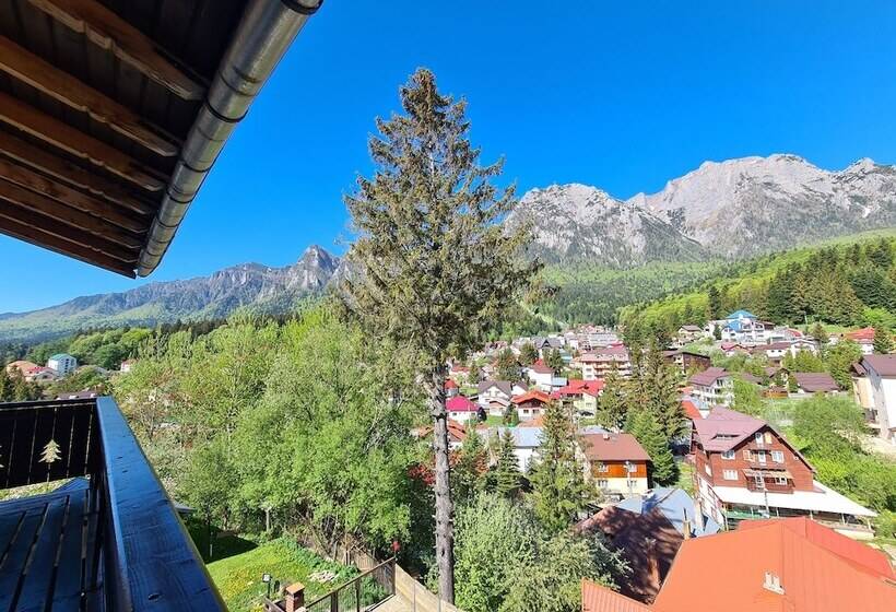 펜션 Casa Florescu