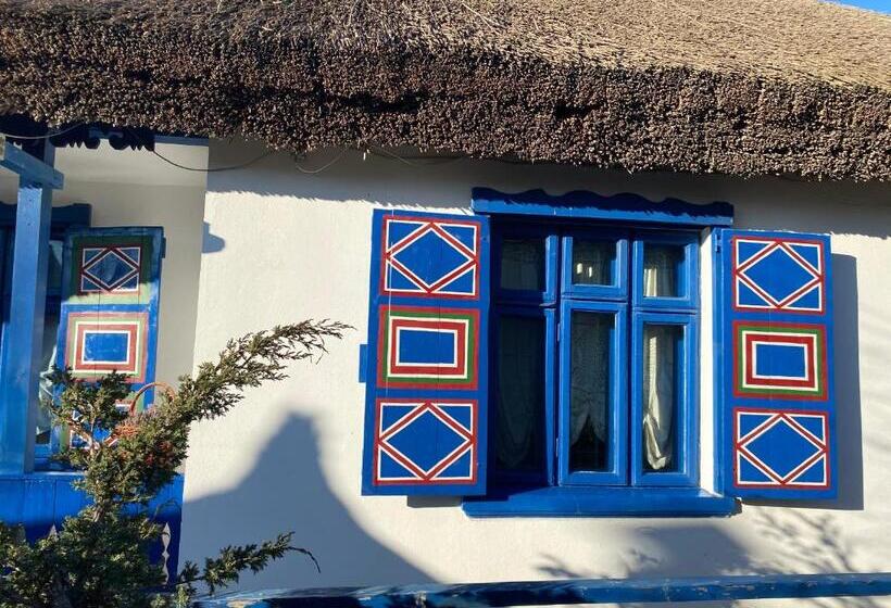 펜션 Casa Soarelui