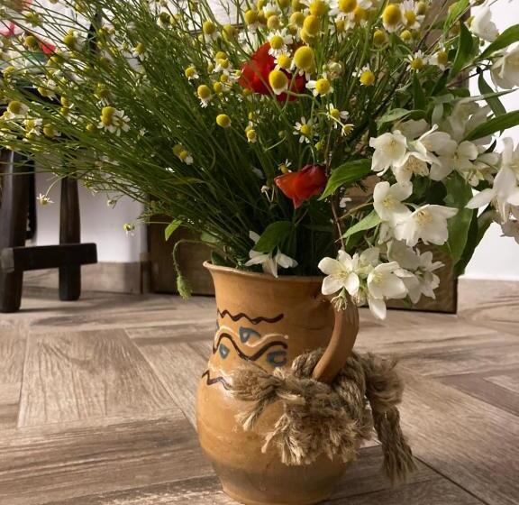 펜션 Casa Soarelui