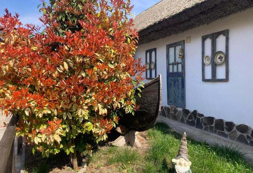 펜션 Casa Soarelui