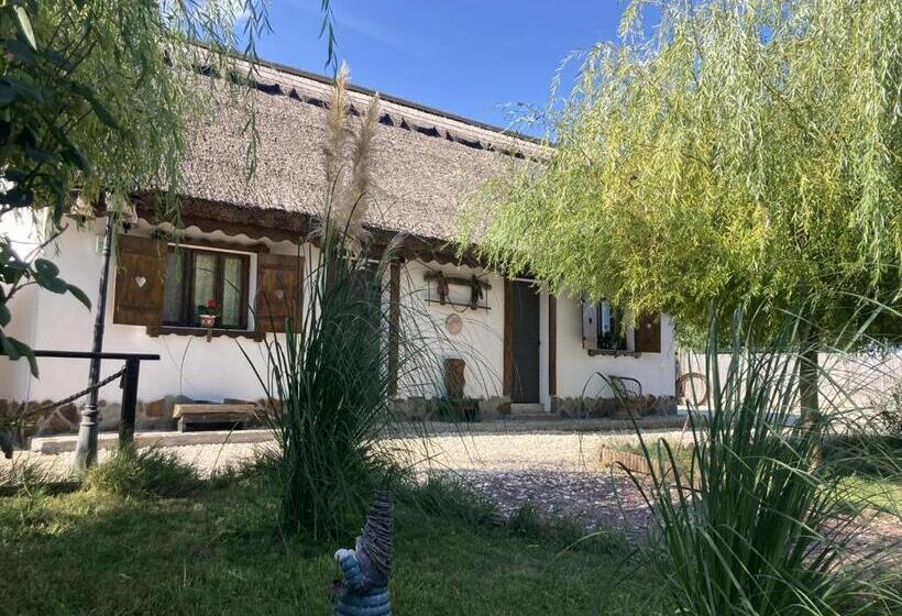 펜션 Casa Soarelui