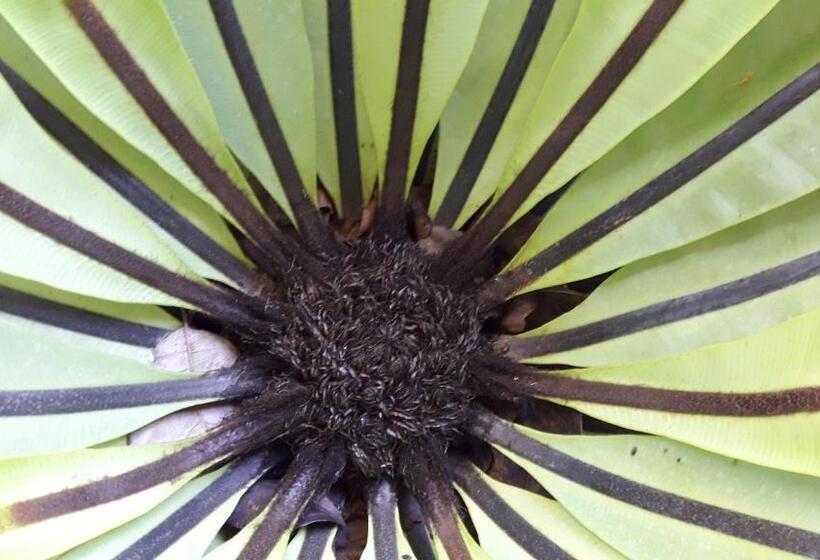 פנסיון Colonial Bungalow