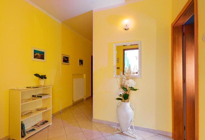 پانسیون Daniela Camere