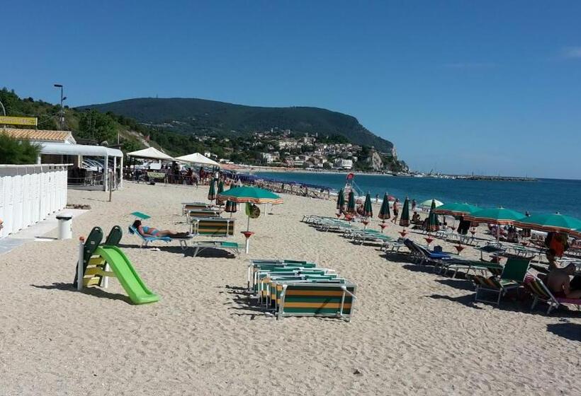 پانسیون Daniela Camere