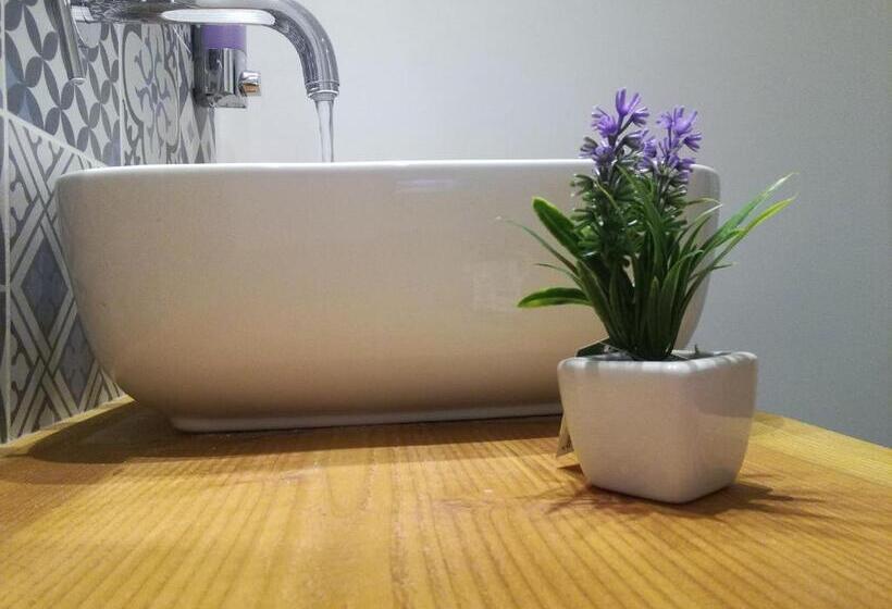 膳宿费 Incanto Barocco