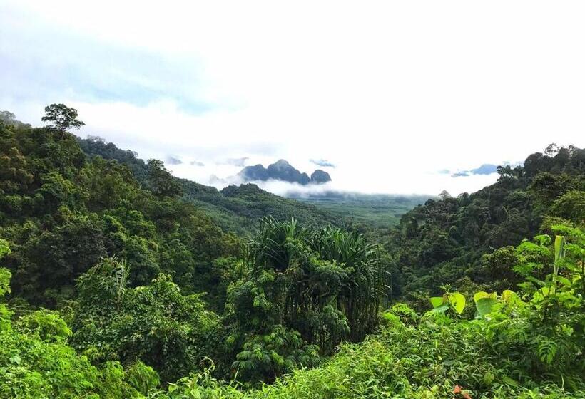 膳宿费 Khao Sok Homestay Resort