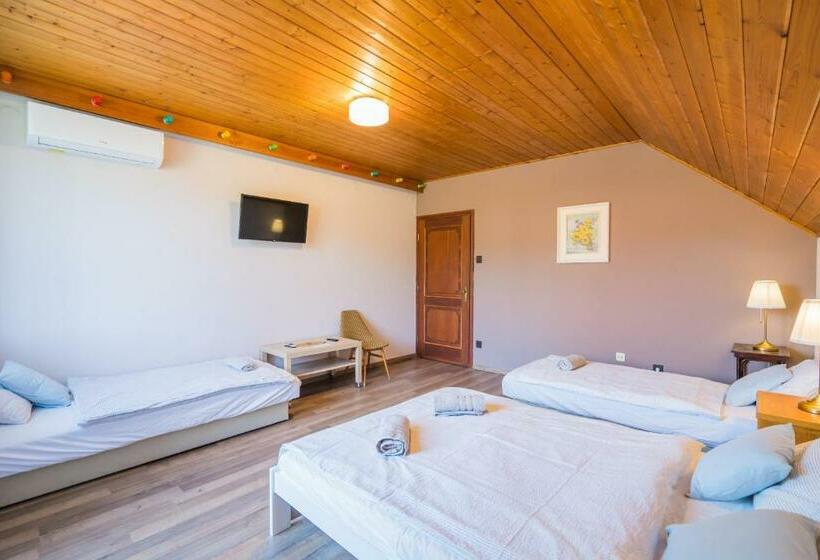 ペンション Regőczy Vendégház Zamárdi