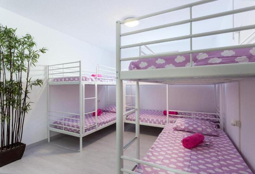 ペンション Safari Beach Guest House