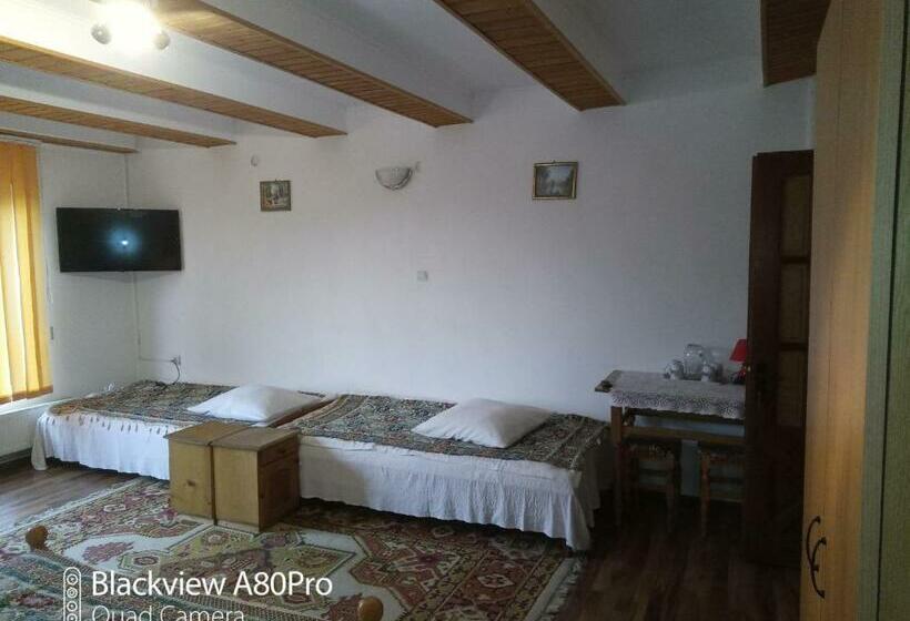 Pensiunea Irina 1 Si 2