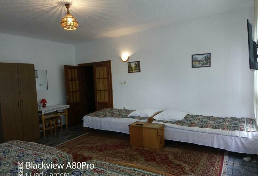 Pensiunea Irina 1 Si 2