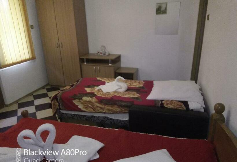 Pensiunea Irina 1 Si 2