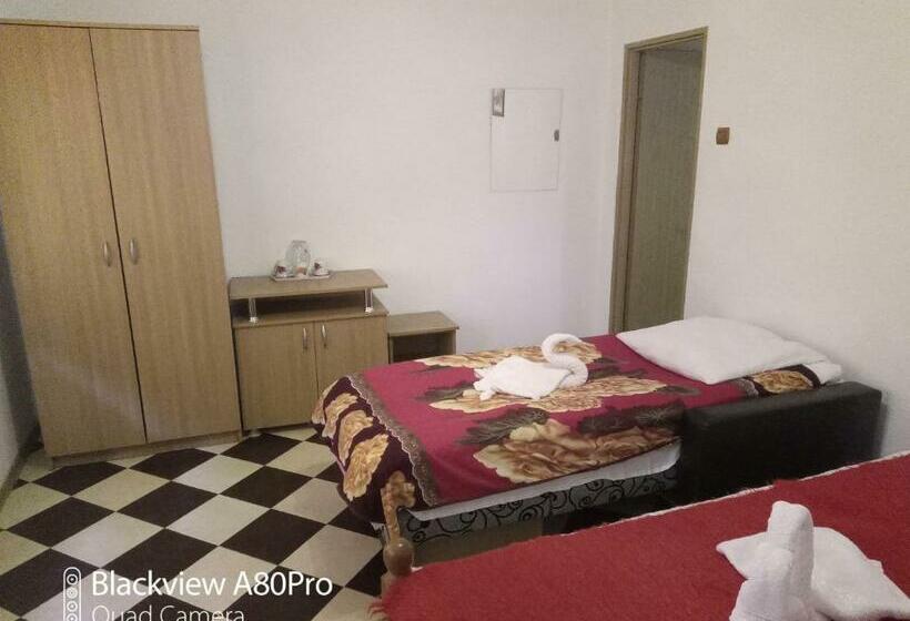 Pensiunea Irina 1 Si 2