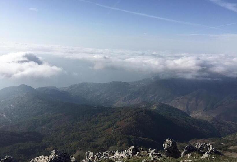 Stella D Aurora Waterview