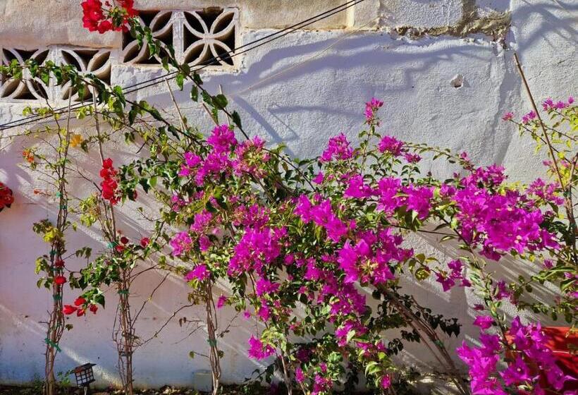 Villa Costa Marbella