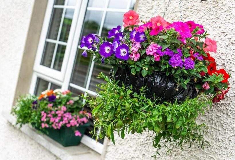 White Strand Beach House