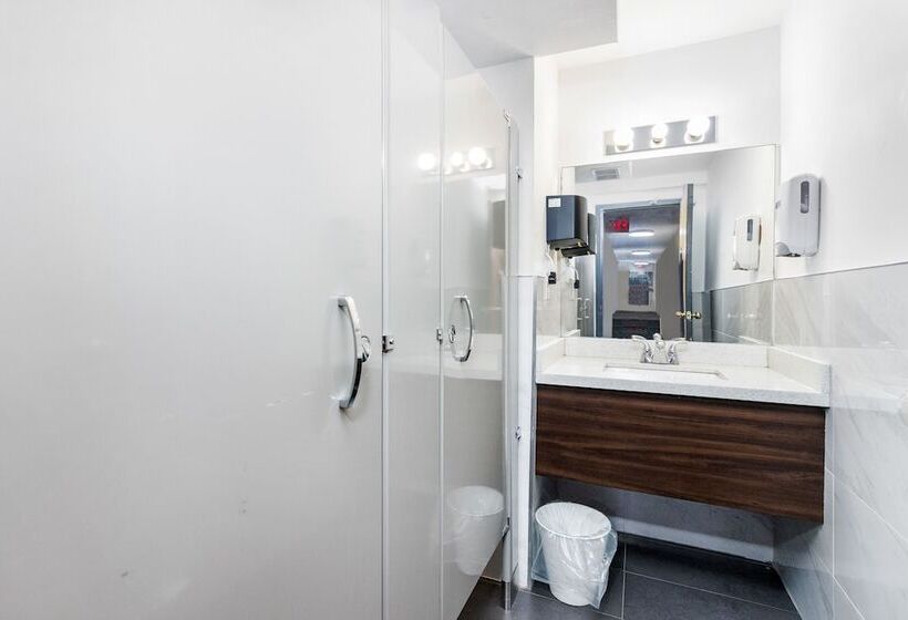 Общежитие Samesun Toronto