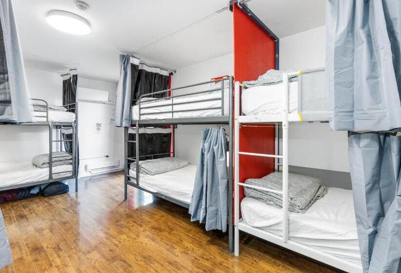 Общежитие Samesun Toronto