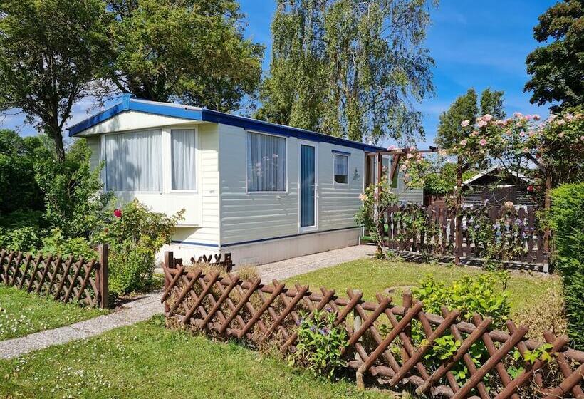 Beach Resort Kamperland   1477