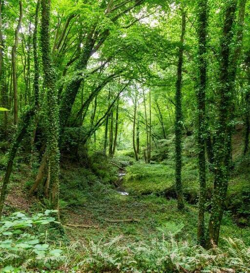 Beautiful 1 Bed Glamping Pod In Battle