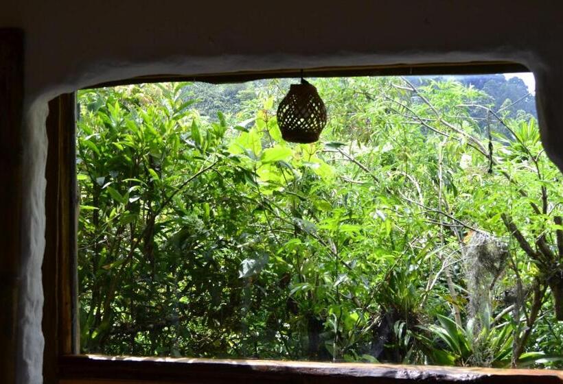 مبيت وإفطار Habitación Las Bromelias, Pijao, Finca Flora Del Rio