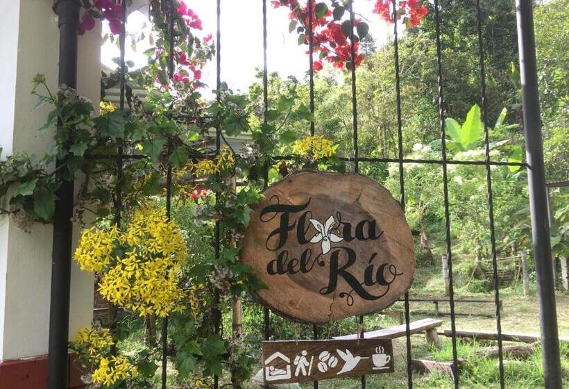 مبيت وإفطار Habitación Las Bromelias, Pijao, Finca Flora Del Rio
