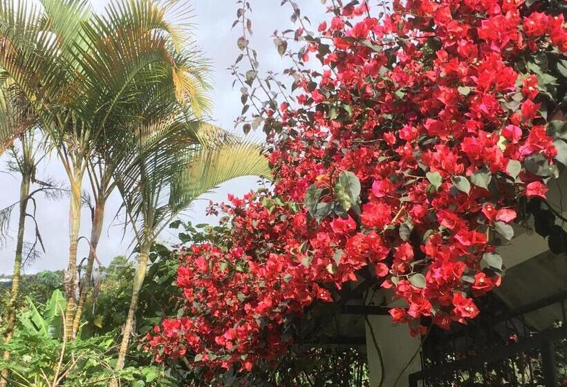 مبيت وإفطار Habitación Las Bromelias, Pijao, Finca Flora Del Rio