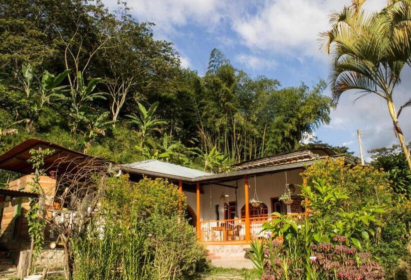 مبيت وإفطار Habitación Las Bromelias, Pijao, Finca Flora Del Rio