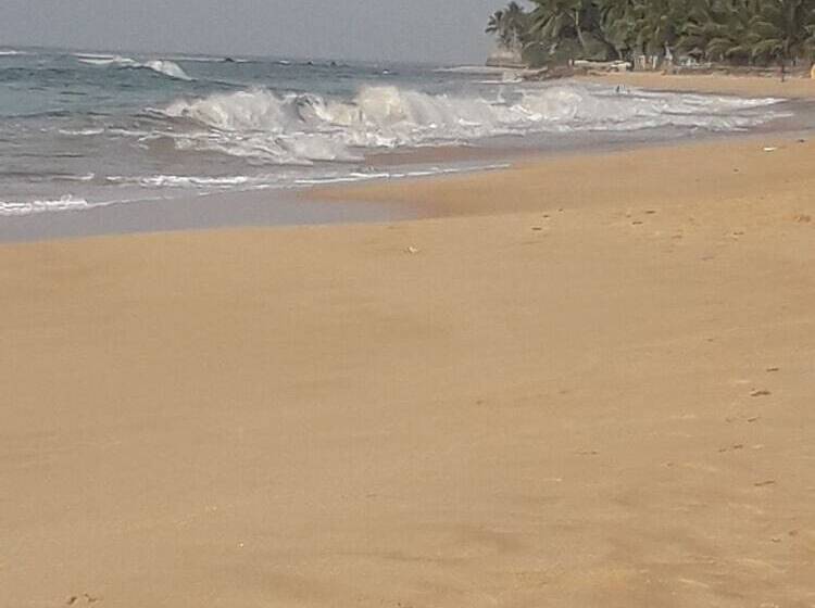 مبيت وإفطار Ravinvilla