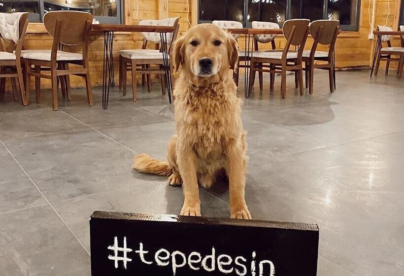 ベッドアンドブレックファースト Tepedebiyer Restoran & Bungalov