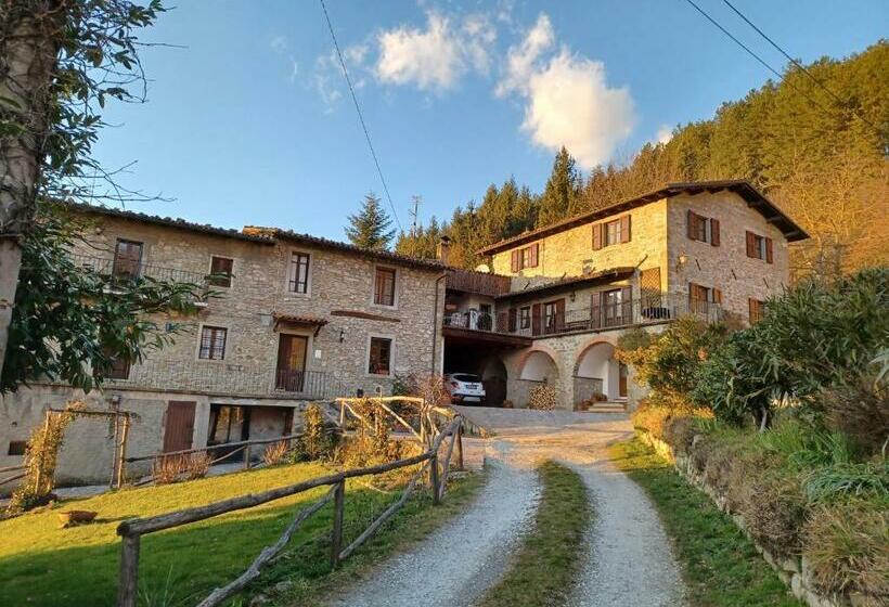 Daniela B&b Affittacamere