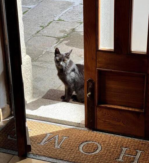 Dream House, 80m2, Fresco Painting On The Vault