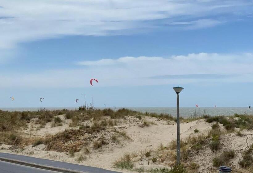 Dunes And Sea