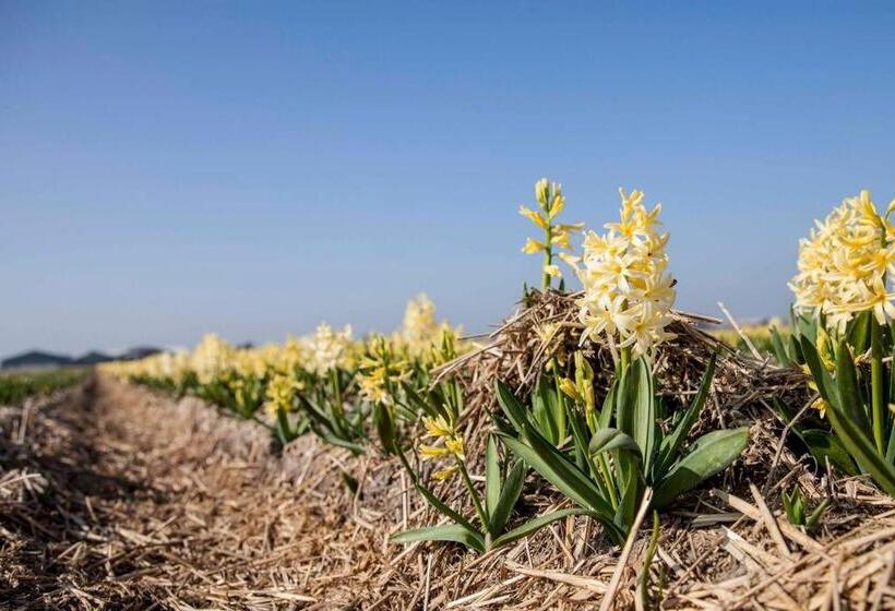 Ecohome Veer Zeezand Recreatie