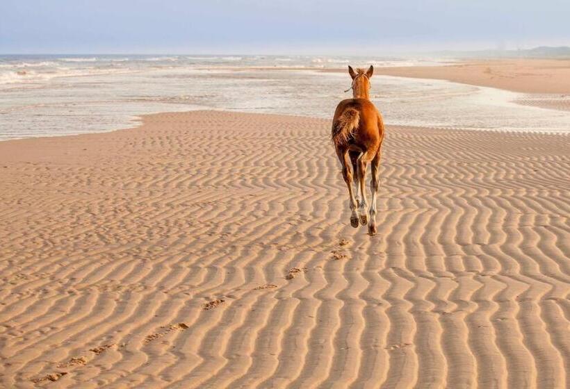 Ecohome Veer Zeezand Recreatie