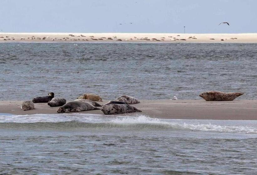 Ecohome Veer Zeezand Recreatie