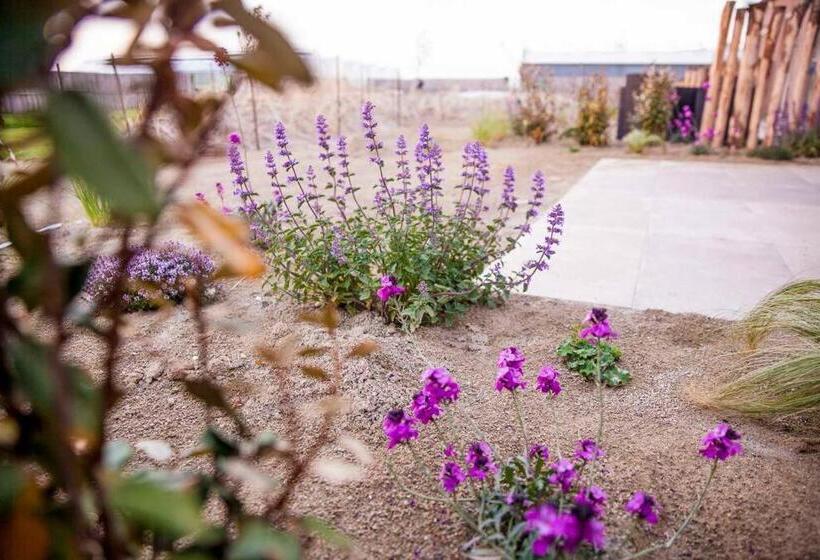 Ecohome Veer Zeezand Recreatie