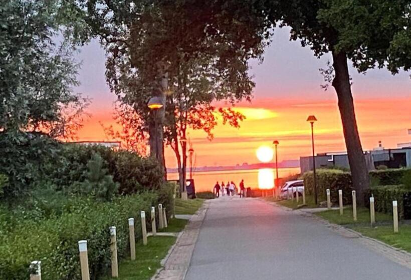 Ferienhaus Tinydroom Im Europarcs Bad Hoophuizen Am Veluwemeer