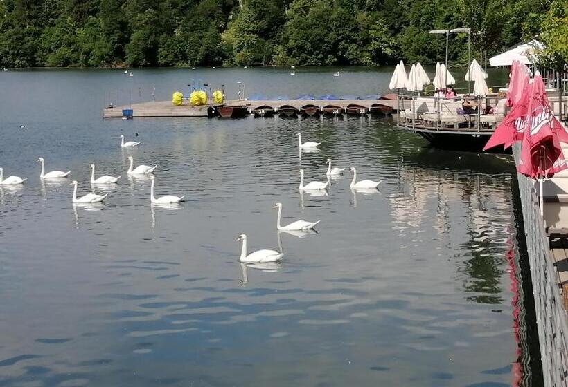 Glamping With A View