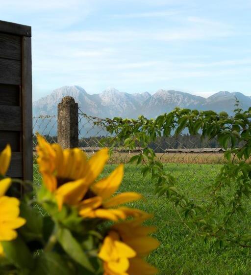 Glamping With A View