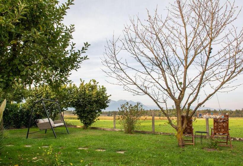 Glamping With A View