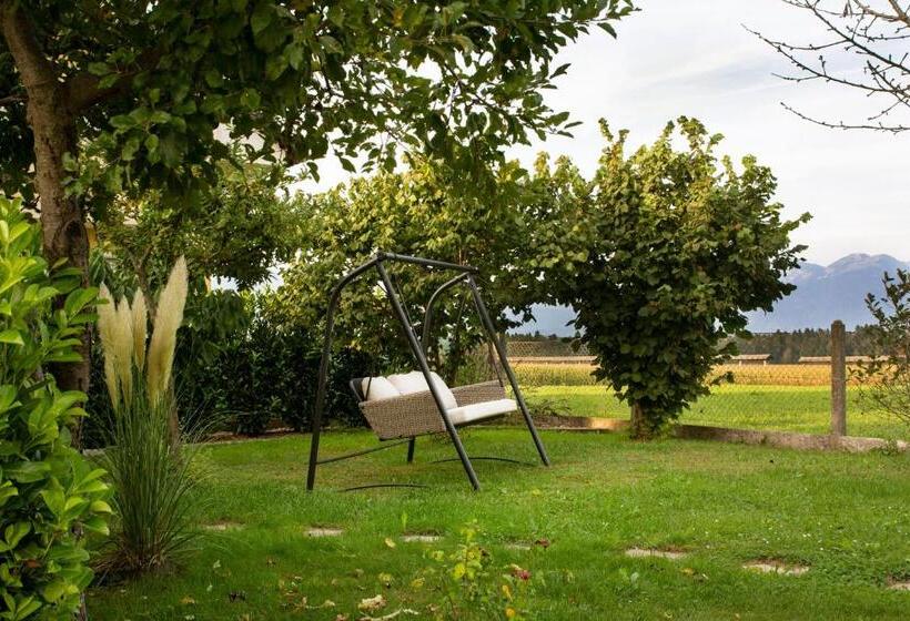 Glamping With A View