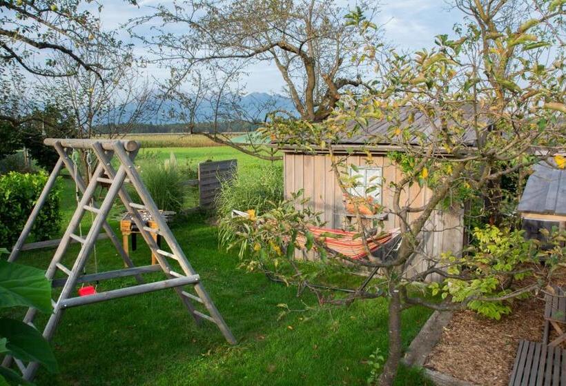 Glamping With A View