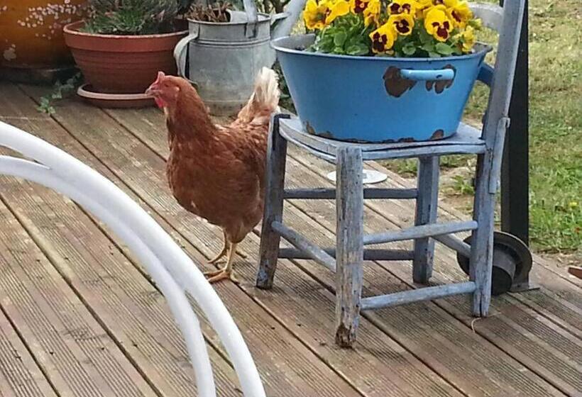 Gîte En Pays Cathare