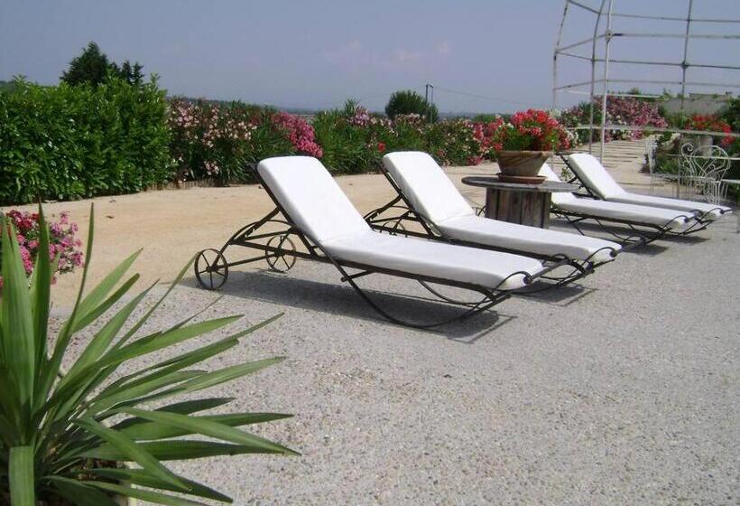 Gîte En Pays Cathare