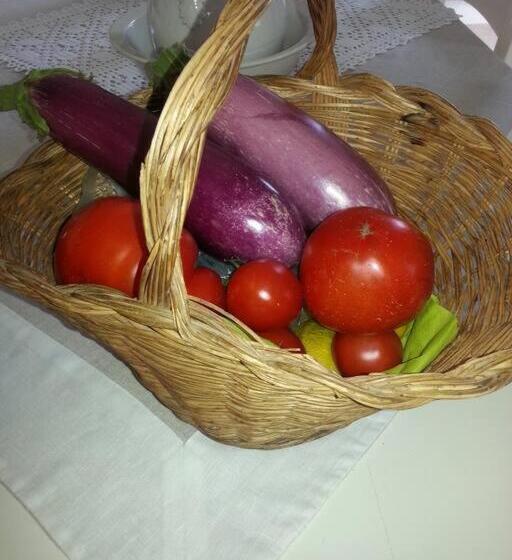 Gîte En Pays Cathare