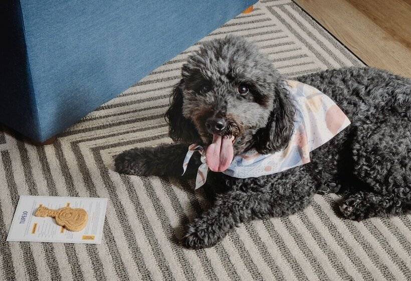 호텔 Tupelo, A Wyndham