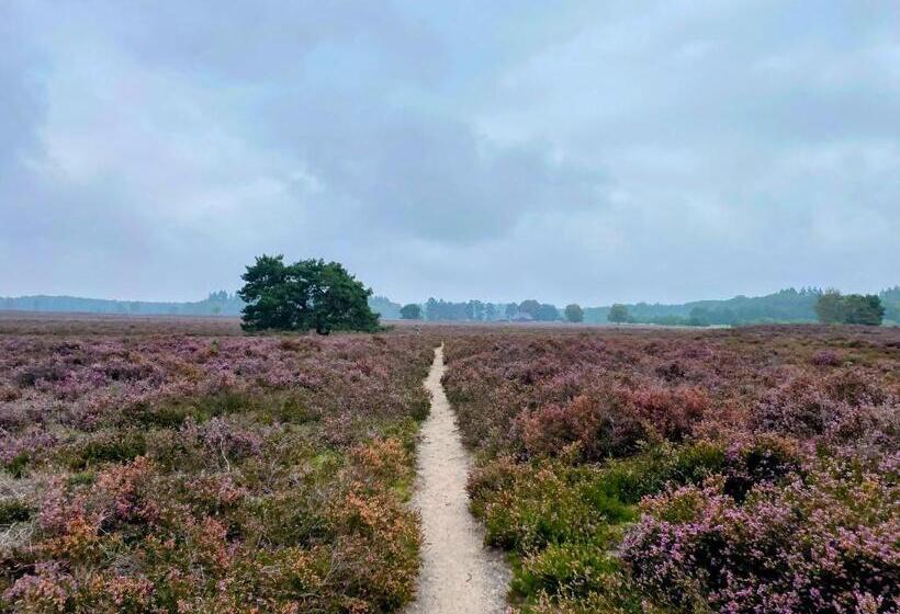 Huisje Aan De Bosrand   Veluwe