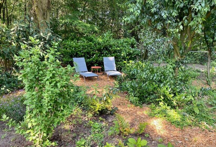 Huisje Aan De Bosrand   Veluwe