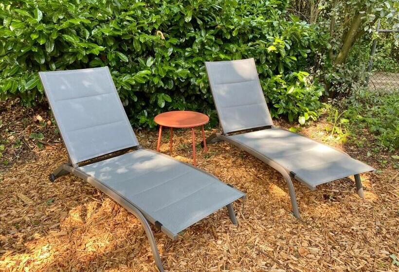 Huisje Aan De Bosrand   Veluwe