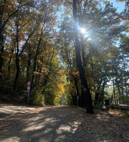 Lakelove Házikó Sopron  Erdő és Tópart Mellett